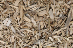 biomass boilers Llangybi